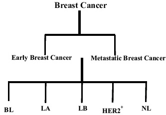 Fig. (1)