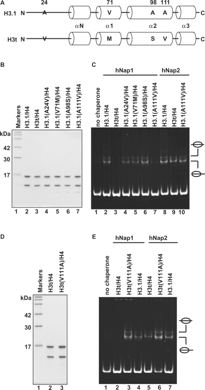 Figure 6.