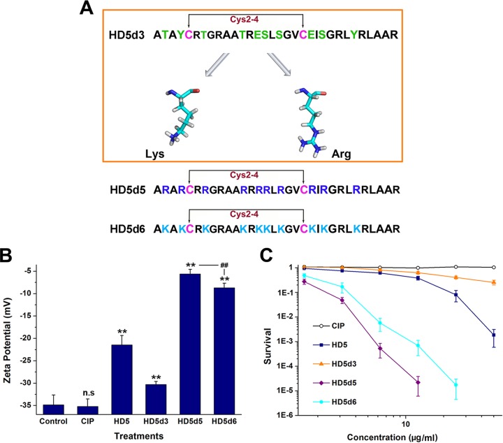 FIG 2