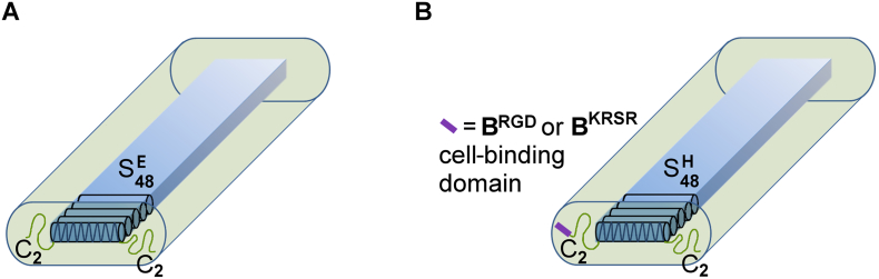 Fig. 5