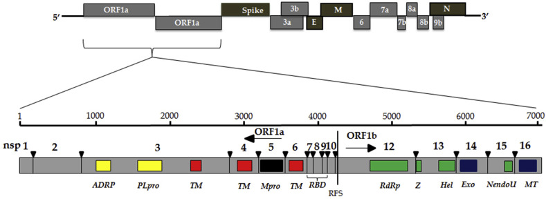 Fig. 2