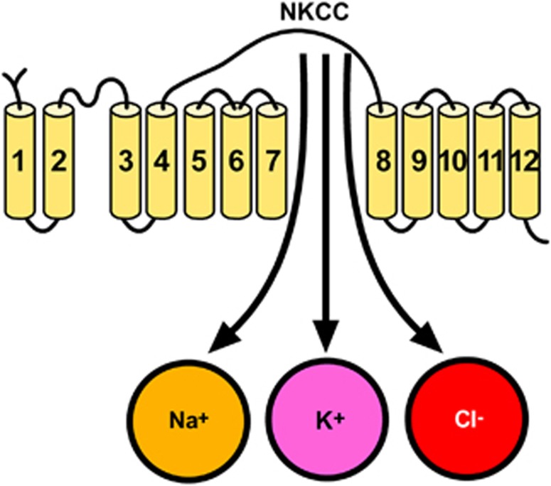 Figure 9