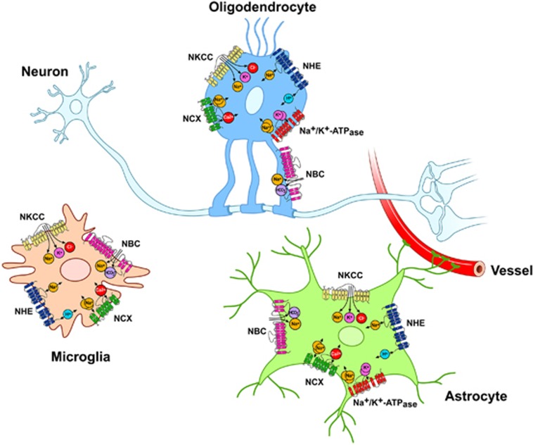 Figure 4