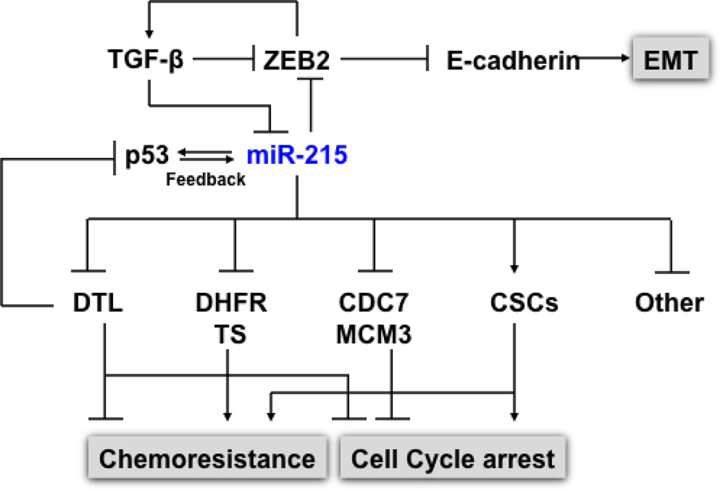 Fig. (3)