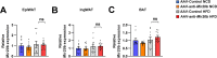Figure 6—figure supplement 1.