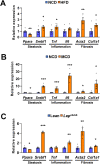 Figure 1—figure supplement 3.