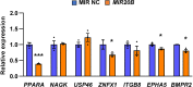 Figure 2—figure supplement 2.