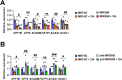 Figure 4—figure supplement 1.