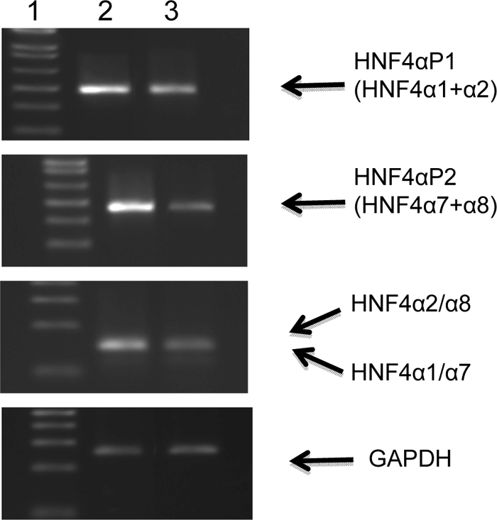 FIGURE 11.