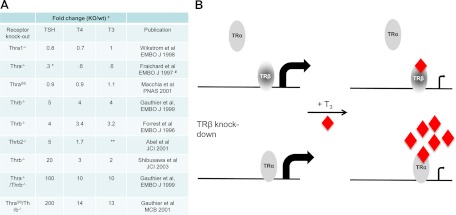 Fig. 9.