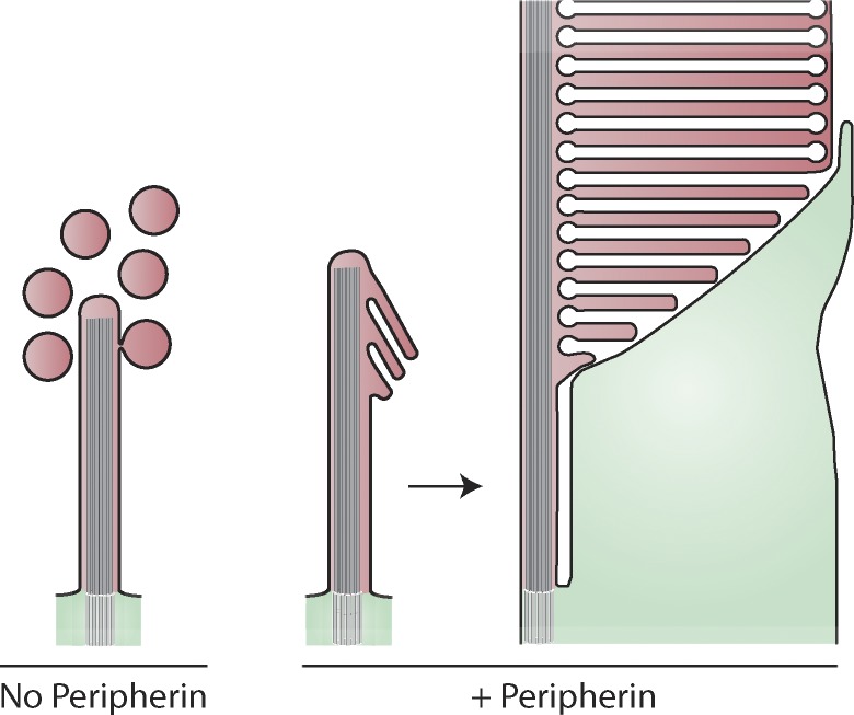 Figure 8.