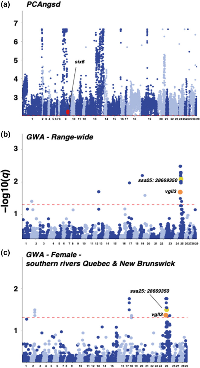 FIGURE 4