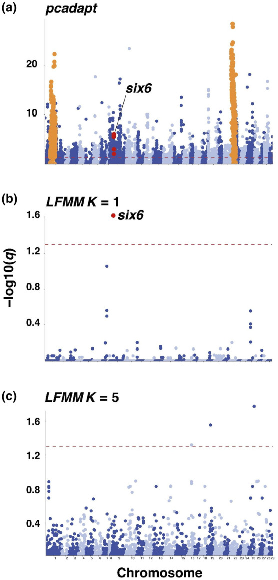 FIGURE 3