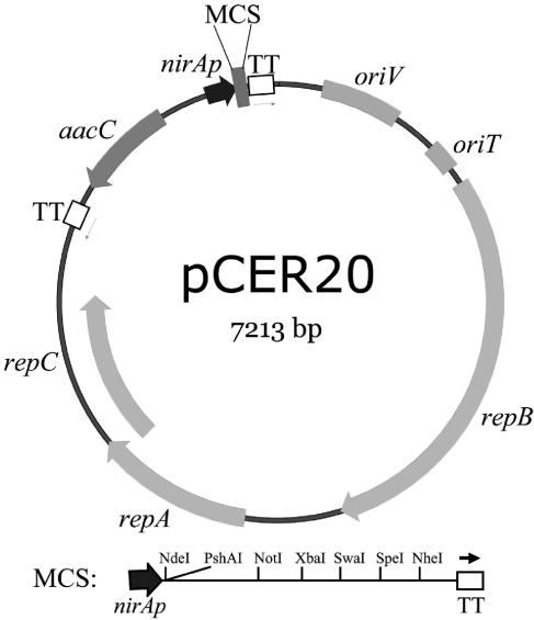 FIG. 2.