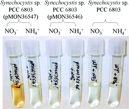 FIG. 6.