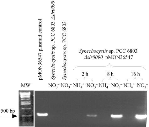 FIG. 4.