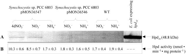 FIG. 5.