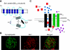 Fig. 2.