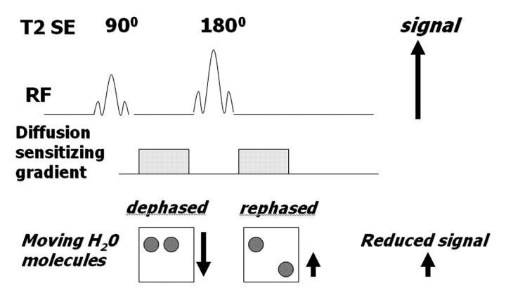 Figure 2b