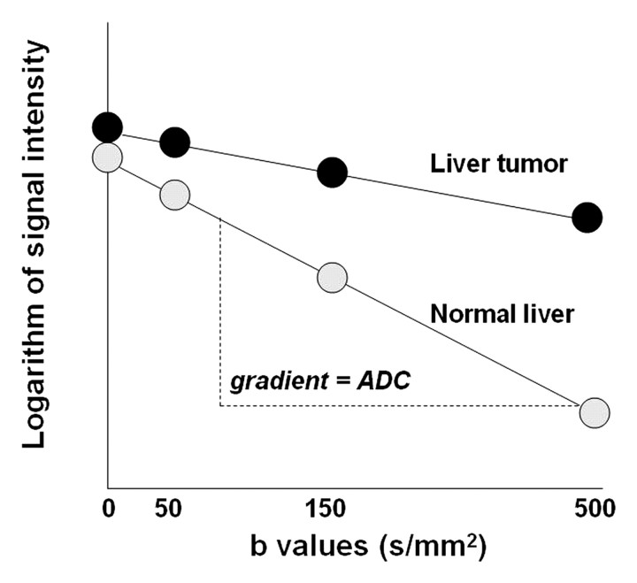 Figure 5b