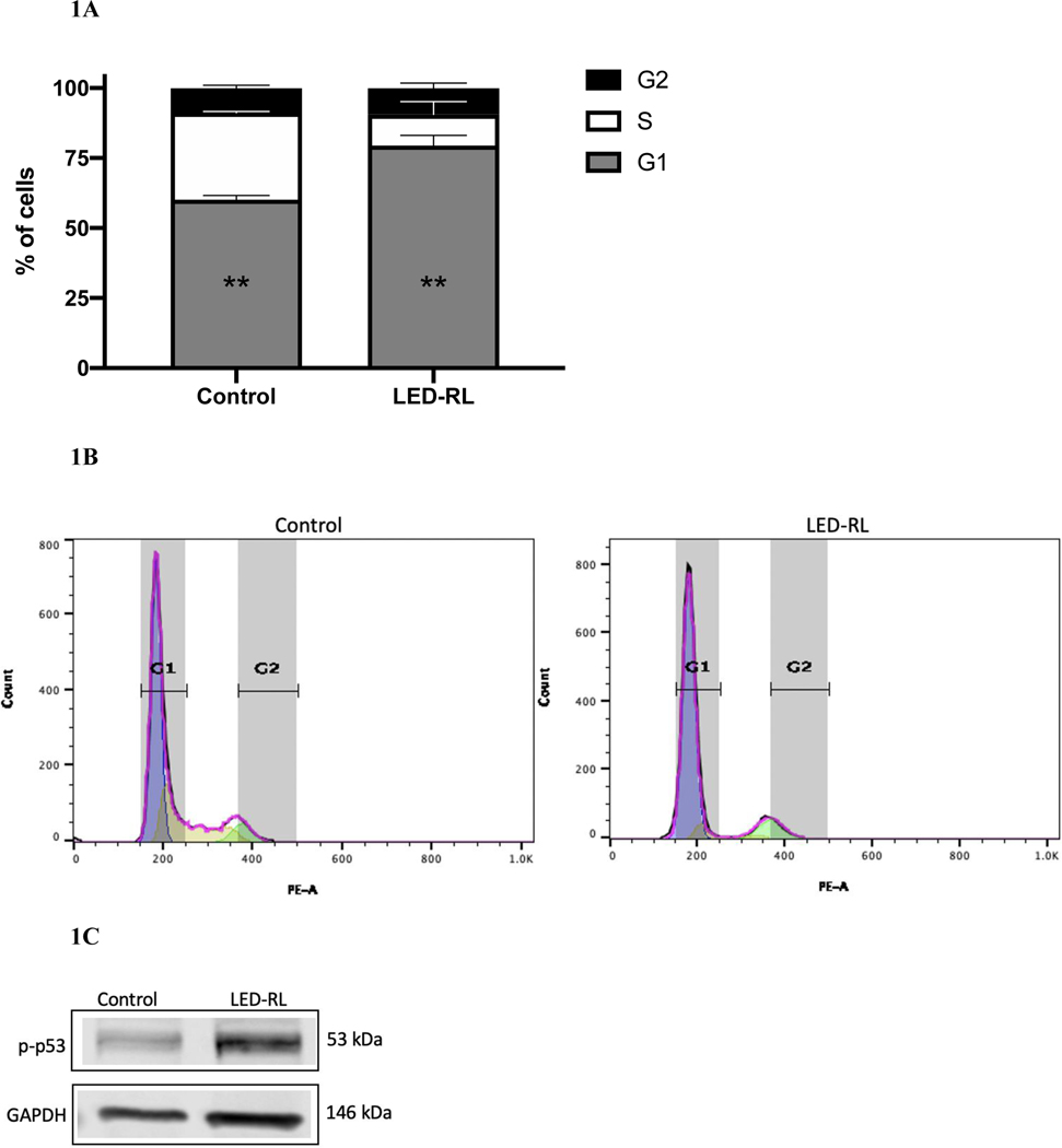 Figure 1A