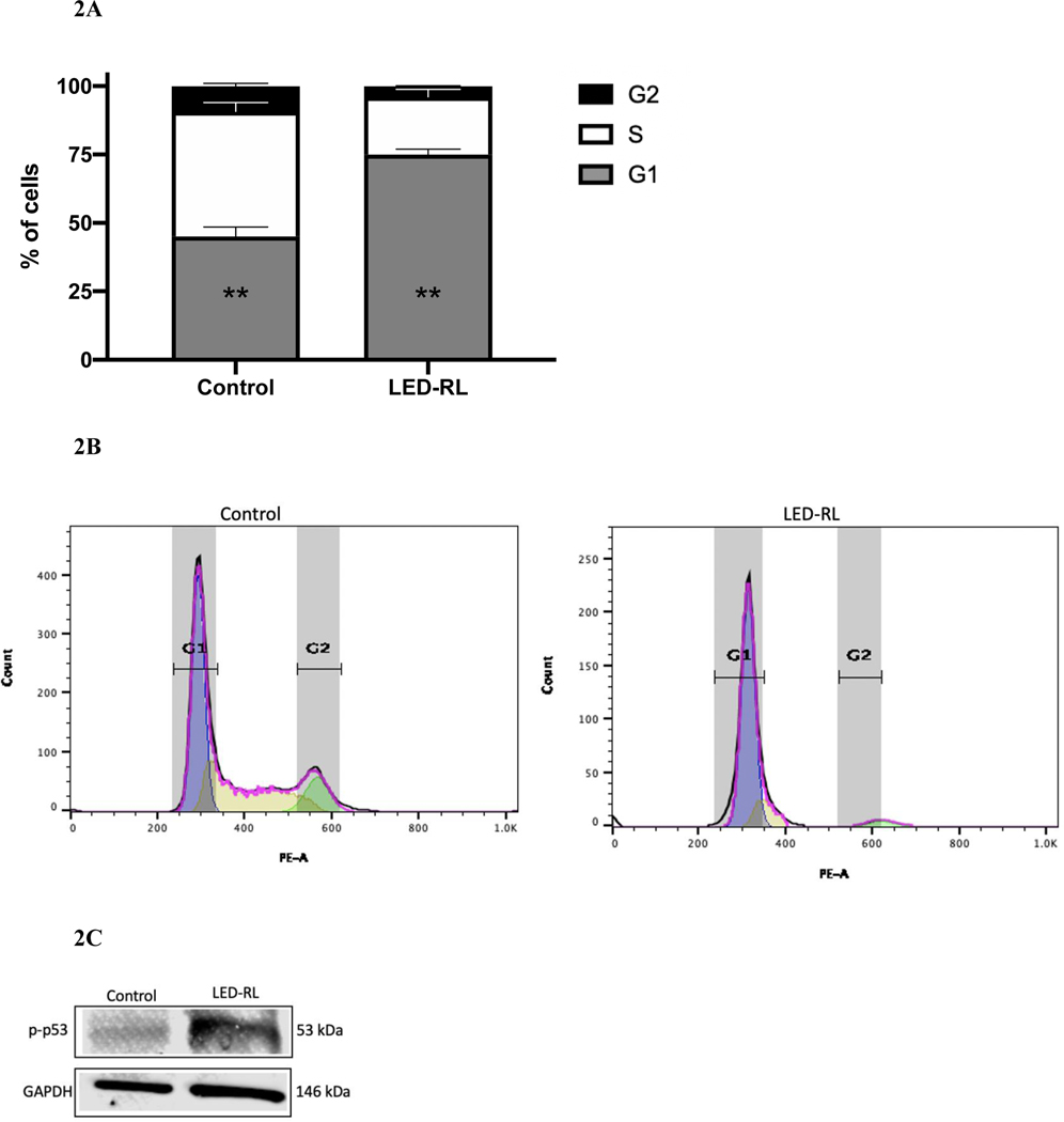 Figure 2A