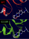 FIG 5