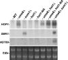 FIG 7
