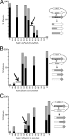 FIG 2