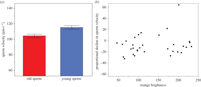 Figure 2.