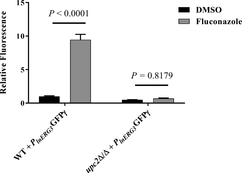 FIG 4 