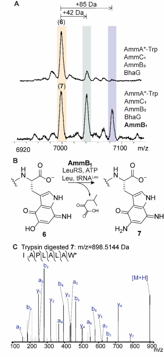 Figure 6.