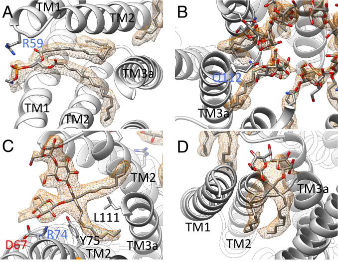 Fig. 4.