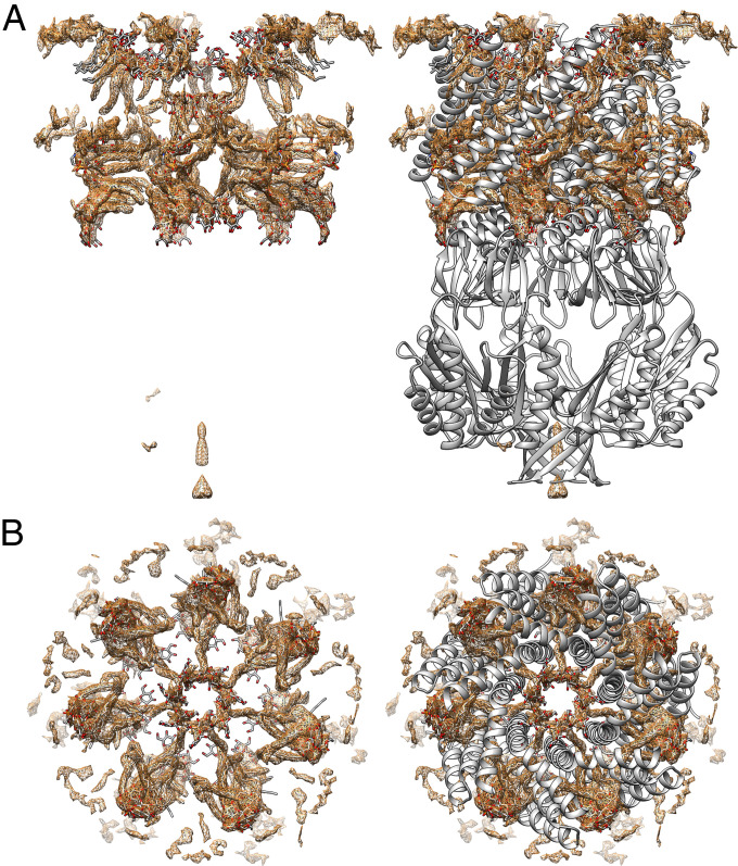 Fig. 3.