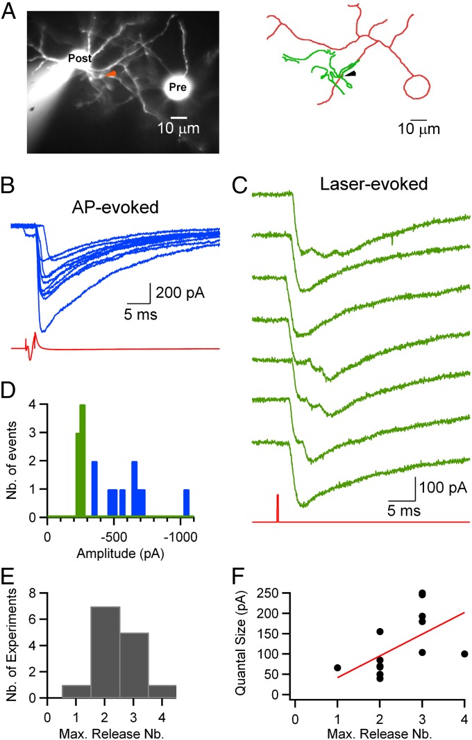 Fig. 4.