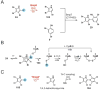 Figure 35