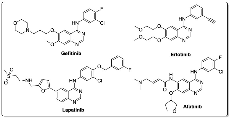 Figure 42