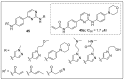 Figure 52