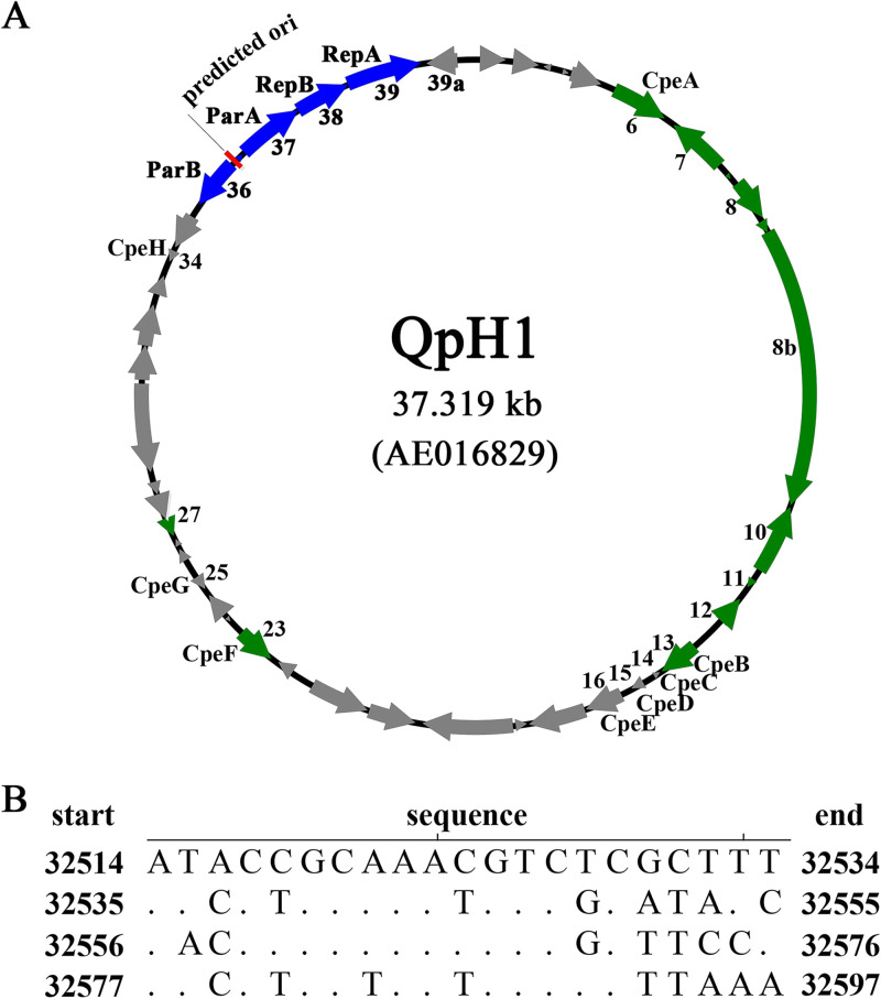 FIG 1