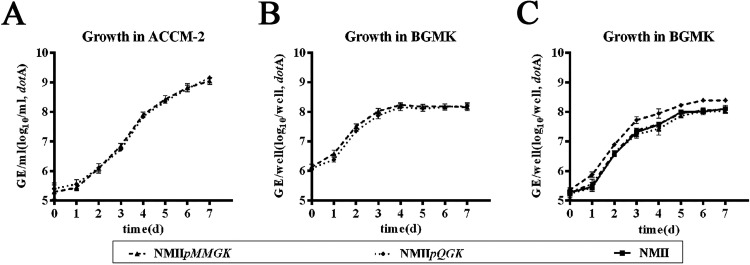 FIG 4