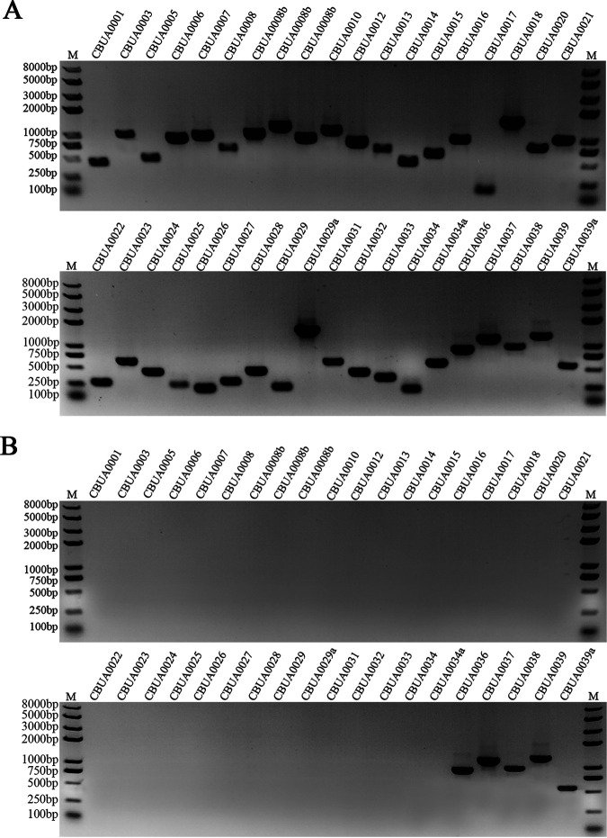 FIG 3