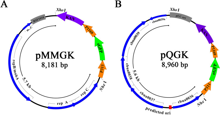 FIG 2