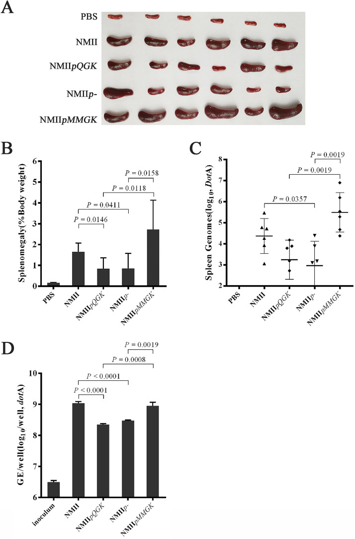 FIG 8