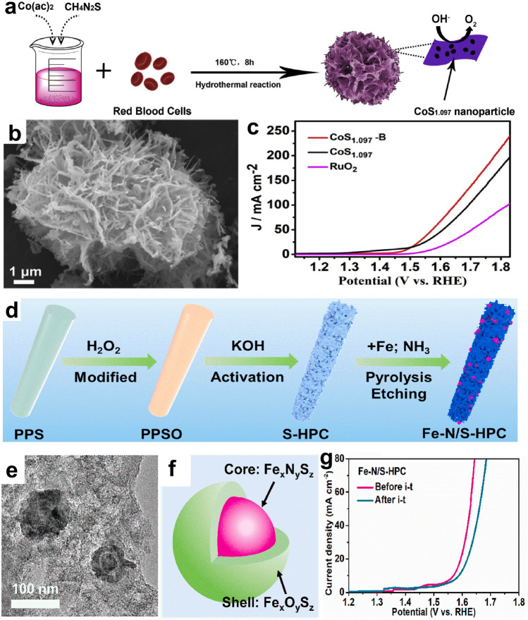 Fig. 11