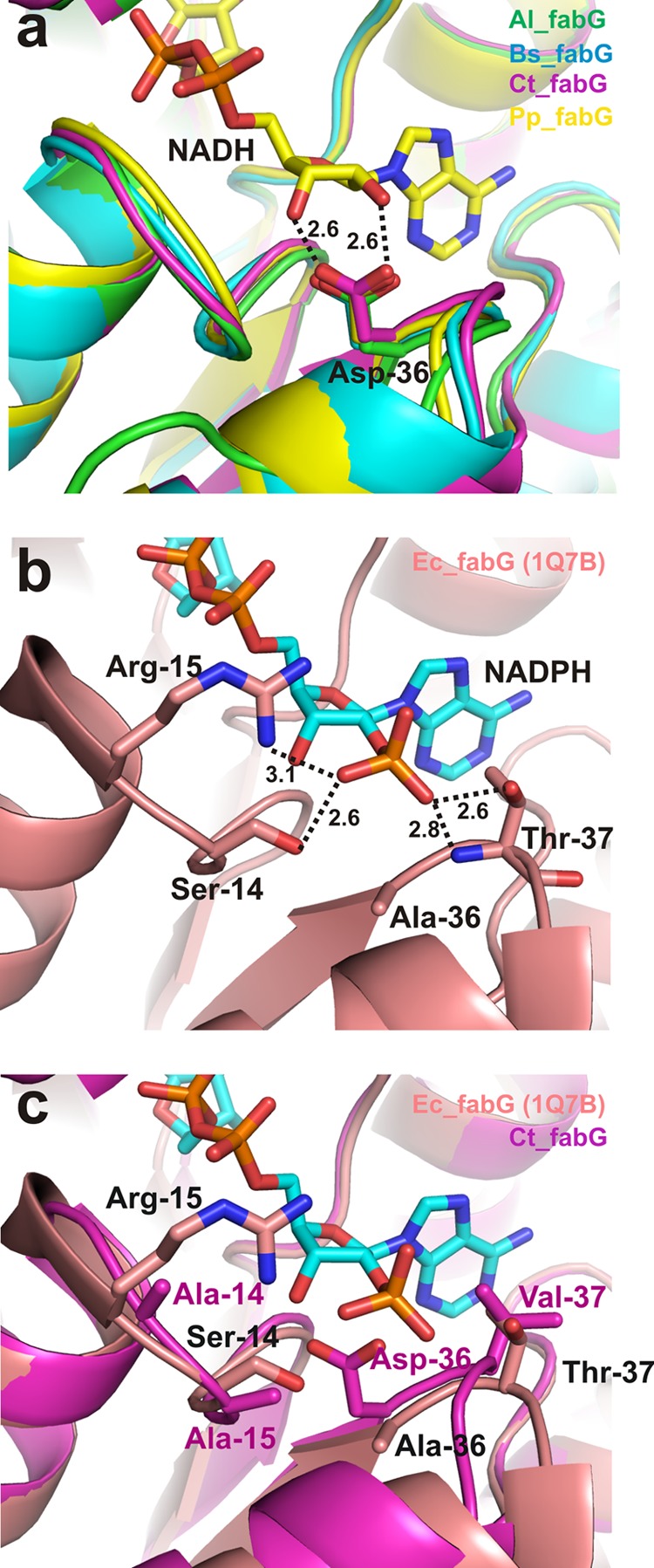 FIG 3