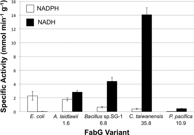 FIG 2