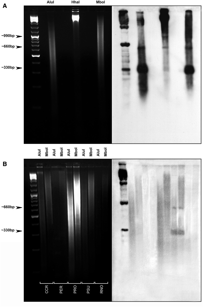 Fig. 3.—