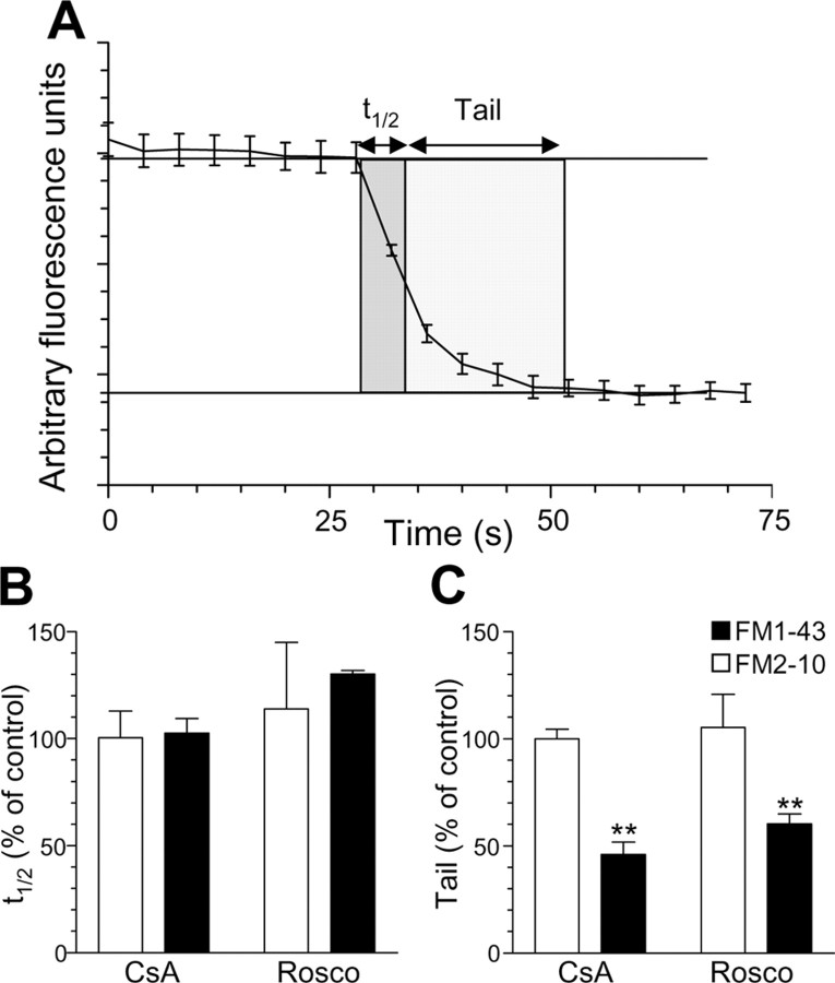 Figure 11.