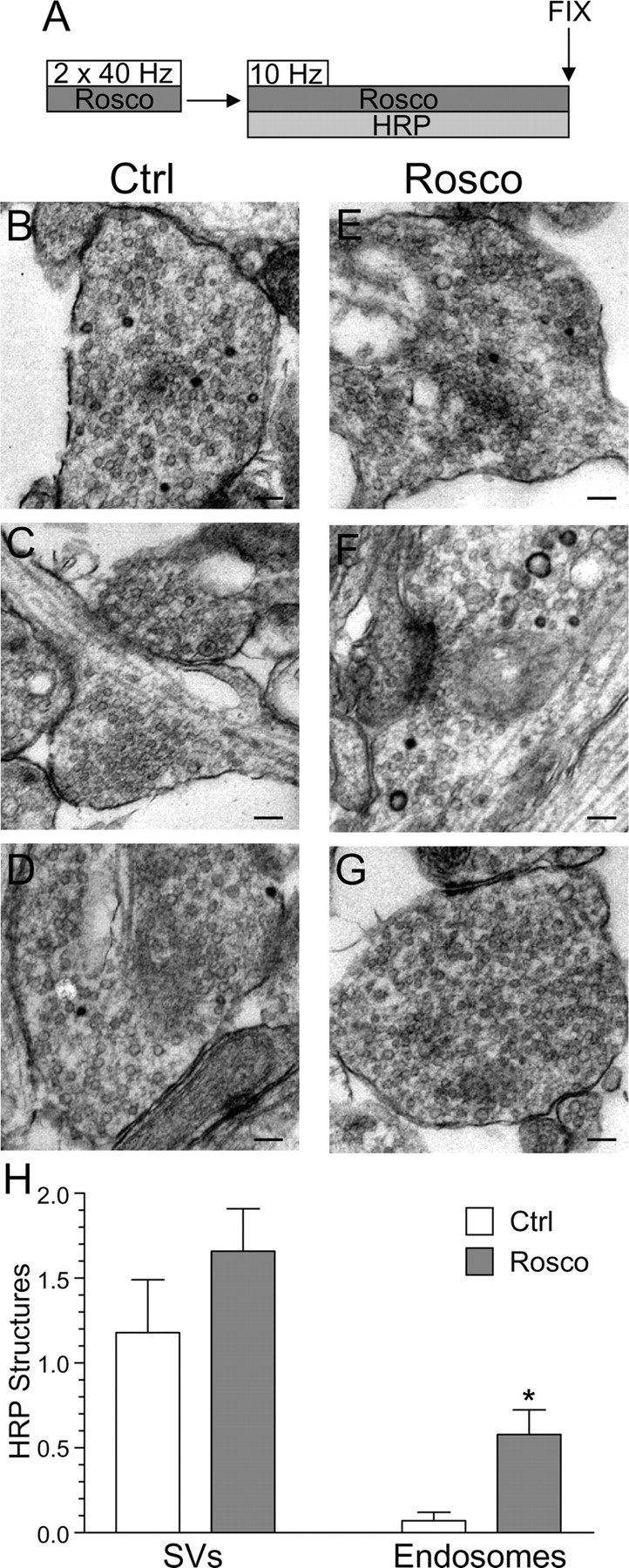 Figure 10.