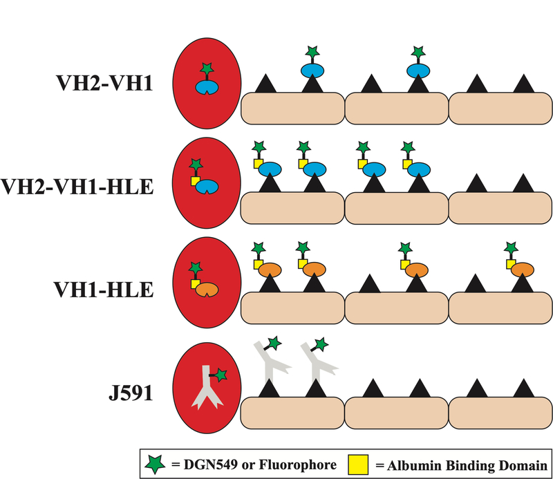 Fig 6.